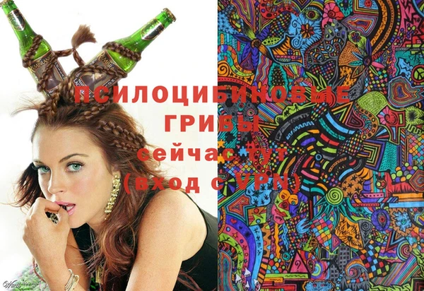 тгк Абинск
