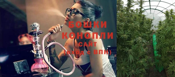 ПСИЛОЦИБИНОВЫЕ ГРИБЫ Алексеевка