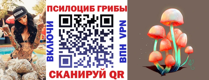 Галлюциногенные грибы Psilocybe  Сызрань 